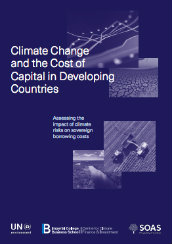 Climate change and the cost of capital in Developing Countries
